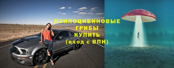 Альфа ПВП Каменка
