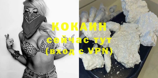 Альфа ПВП Каменка
