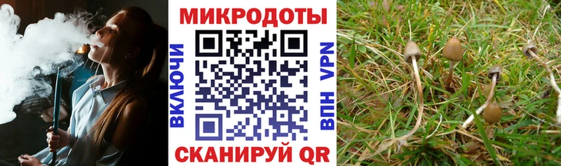 Купить  Ряжск  Псилоцибиновые грибы Psilocybine cubensis 